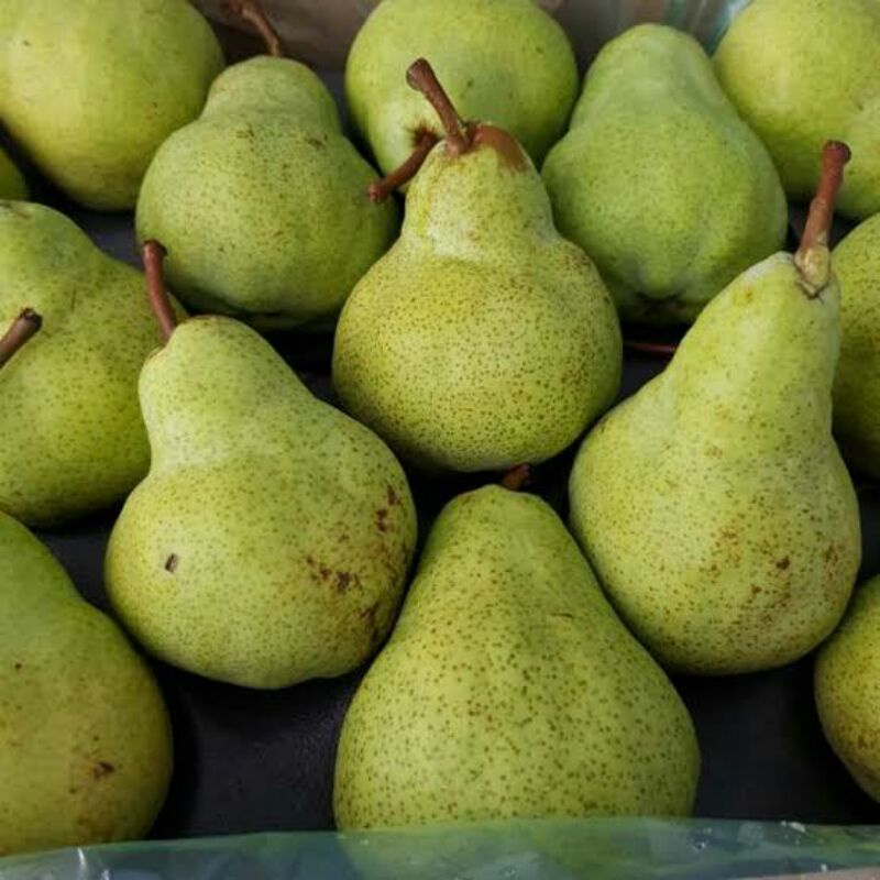 

Buah Pir Pachkam