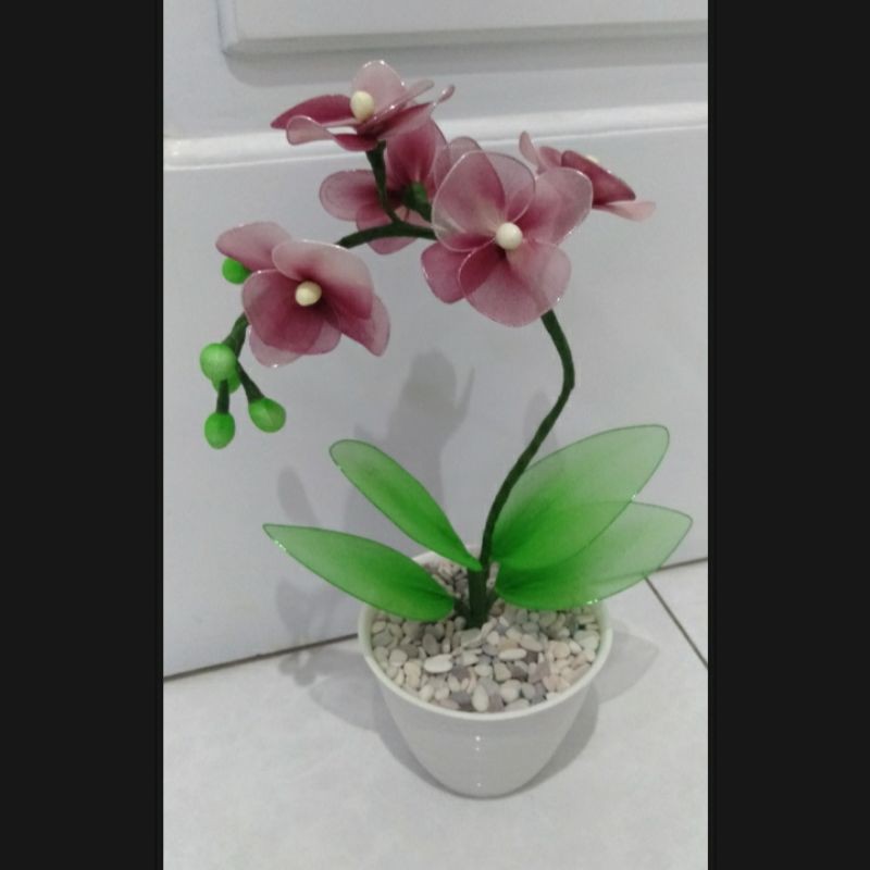 Bunga Anggrek Stoking