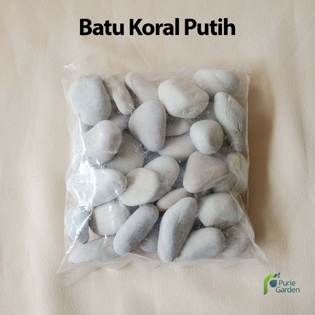 Batu Hias Tanaman Koral Ampyang Italy 500gr PG KDR