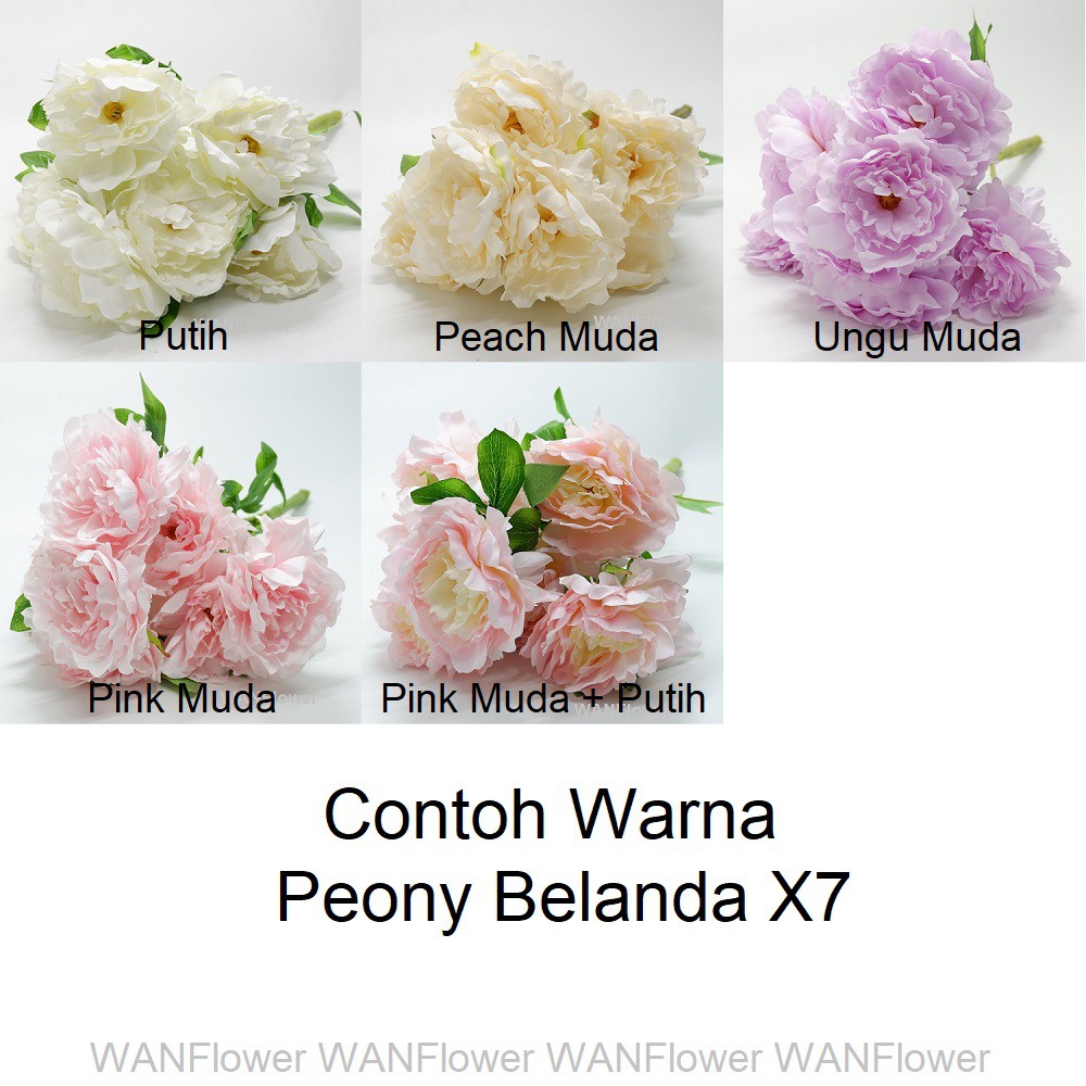 WANFlower Bunga Peony Belanda X7 * UNGU MUDA