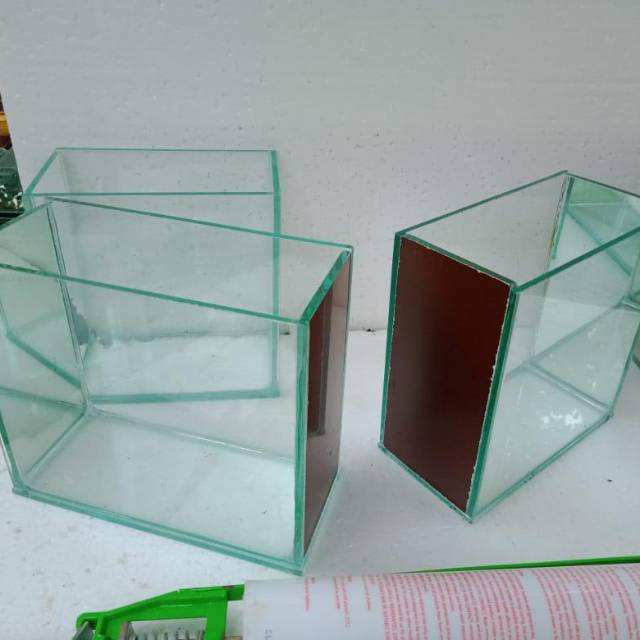 Soliter selfie soliter ikan cupang