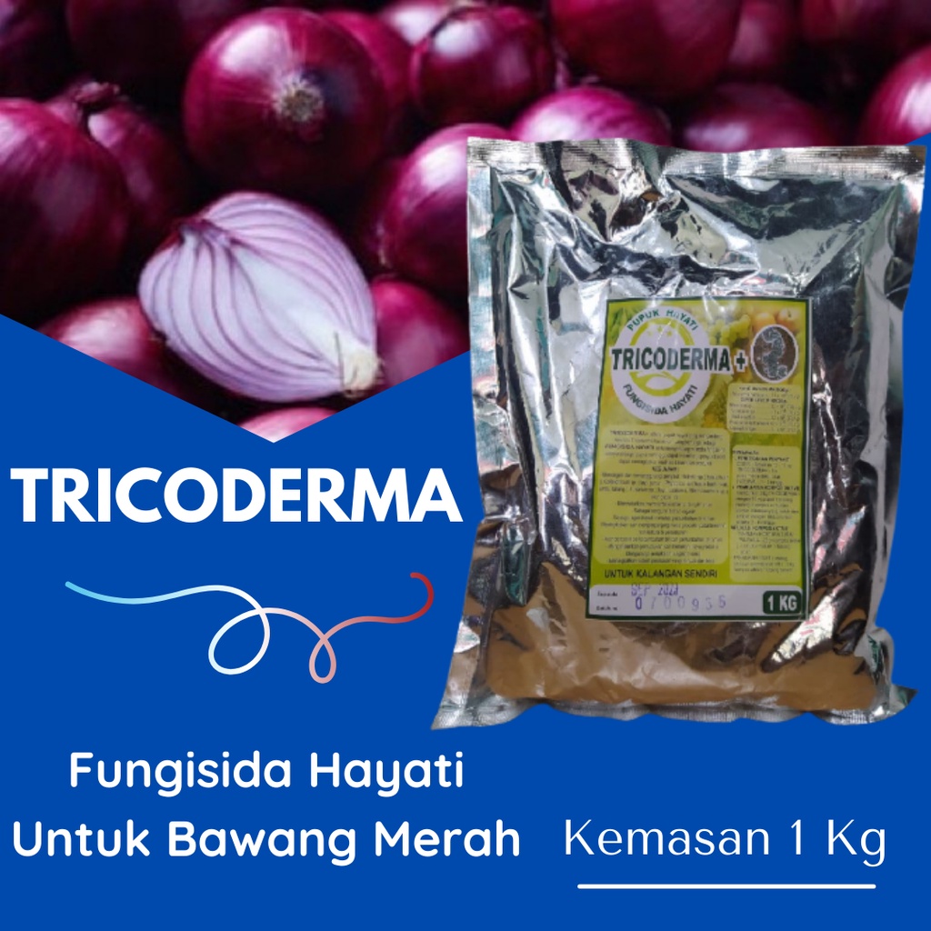 Pupuk Tricoderma Fungisida Hayati Padat 1 Kg Untuk Bawang Merah Di Musim Penghujan Agar Tidak Busuk 