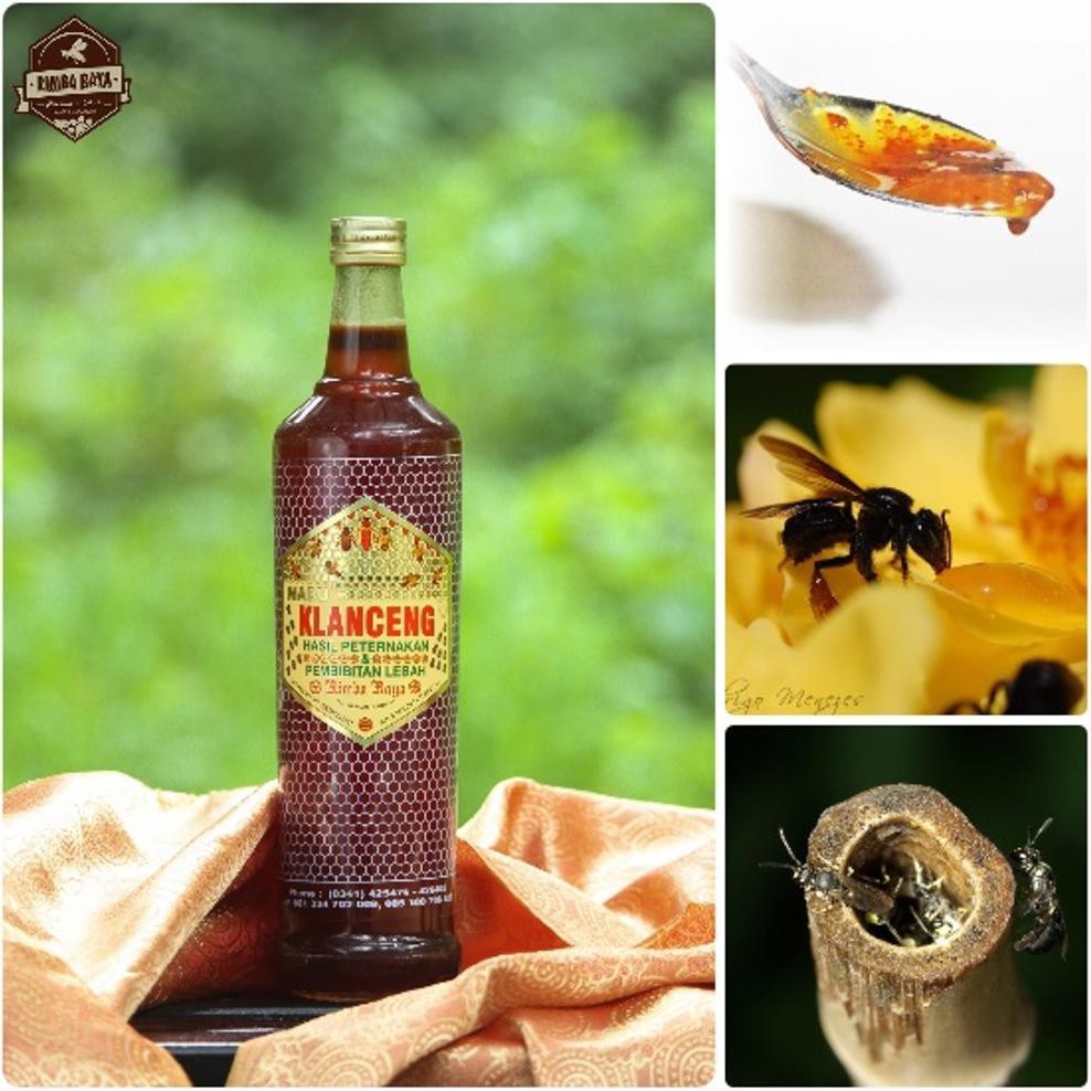 

Hot! Madu Klanceng Murni