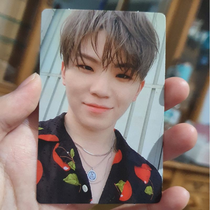 SEVENTEEN - AN ODE (REAL) Photocard & Circle Card [WOOZI, SEUNGKWAN]