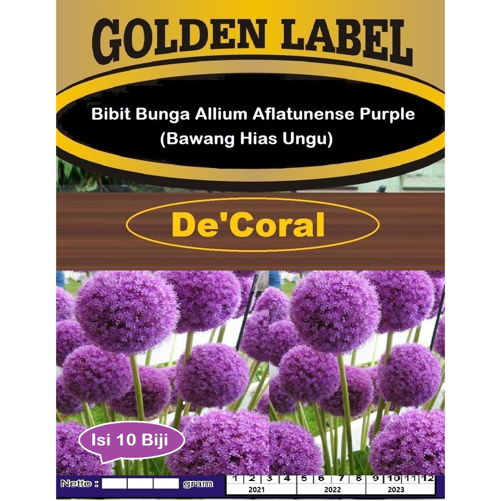 Bibit Bunga Allium Aflatunense Purple | Benih Bawang Hias Ungu