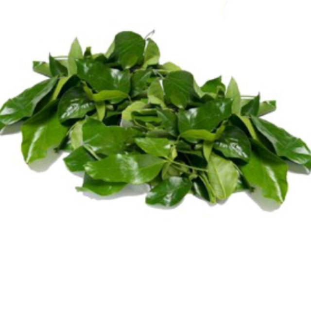 

Daun melinjo 150gr