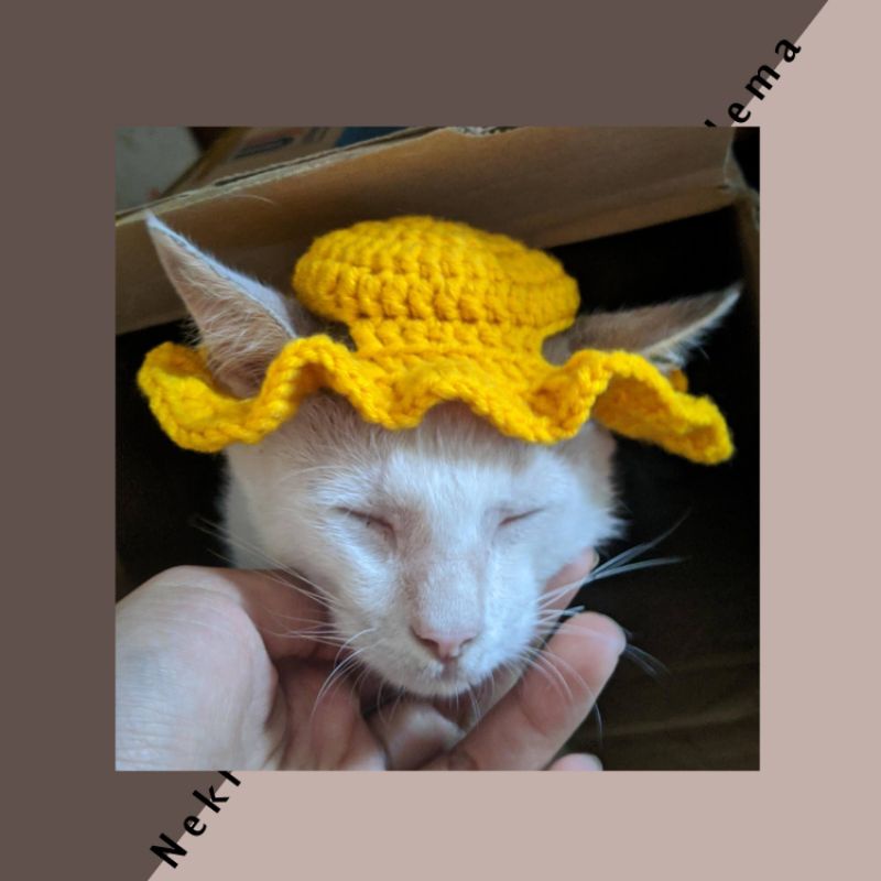 Topi rajut kucing sun hat topi crochet kucing