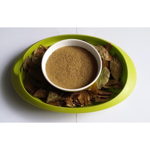 

Daun Kemuning Bubuk Asli Murni 500gr (1/2 kg) Untuk Sakit Gigi