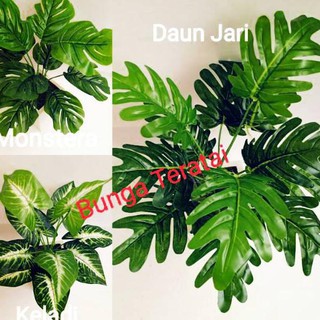 Tanaman Artificial Daun Monstera Keladi Shopee Indonesia