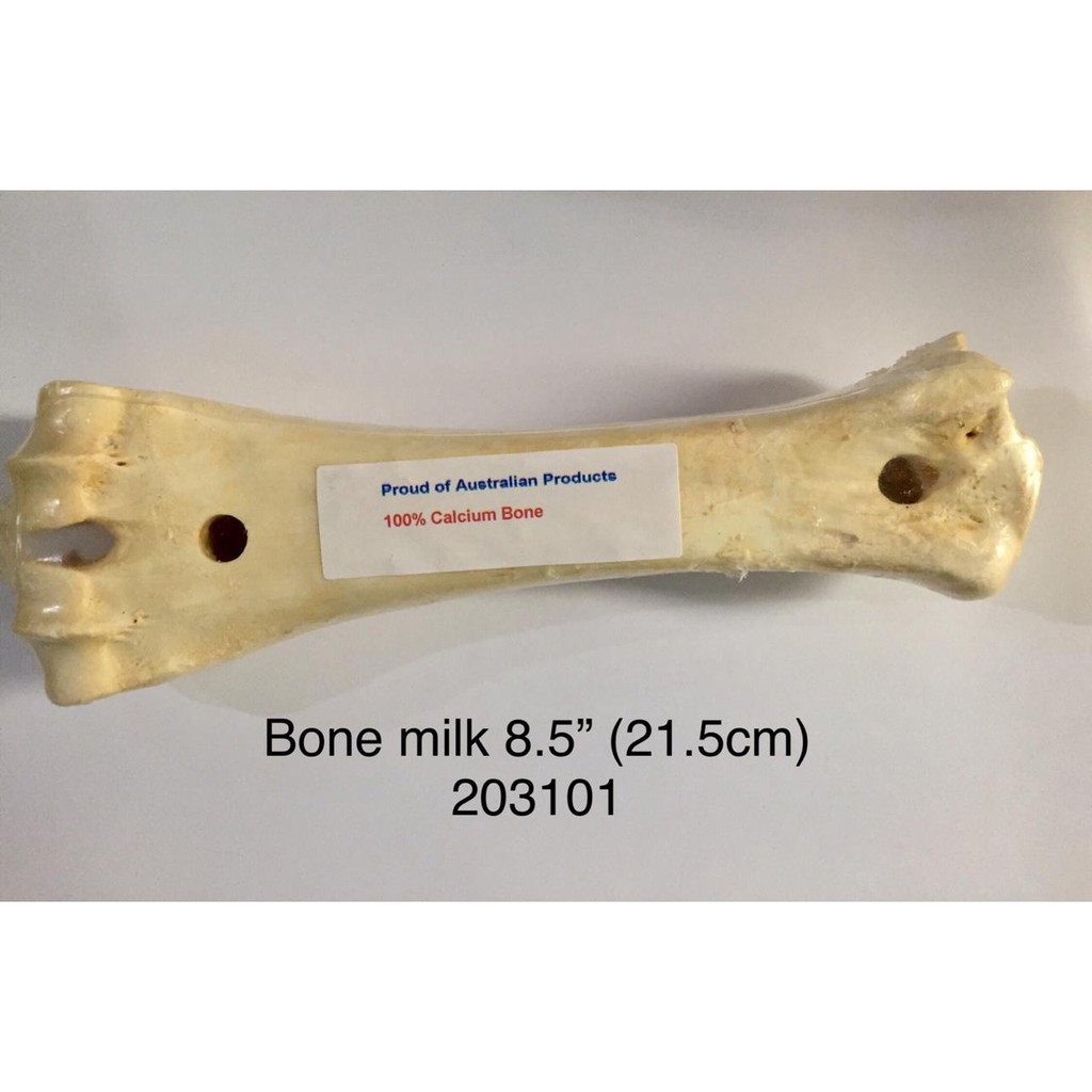 Calcium bone - tulang gigit rasa susu 8.5inch- 21301