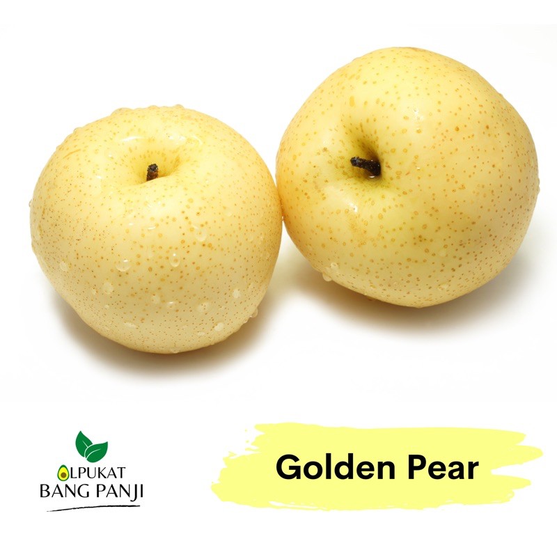 

ALPUKAT BANG PANJI - Pear Golden Wangshann