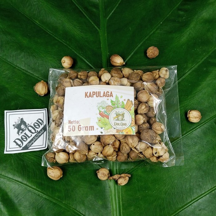 

kapulaga Kapolaga Kapol jawa 50 gram termurah
