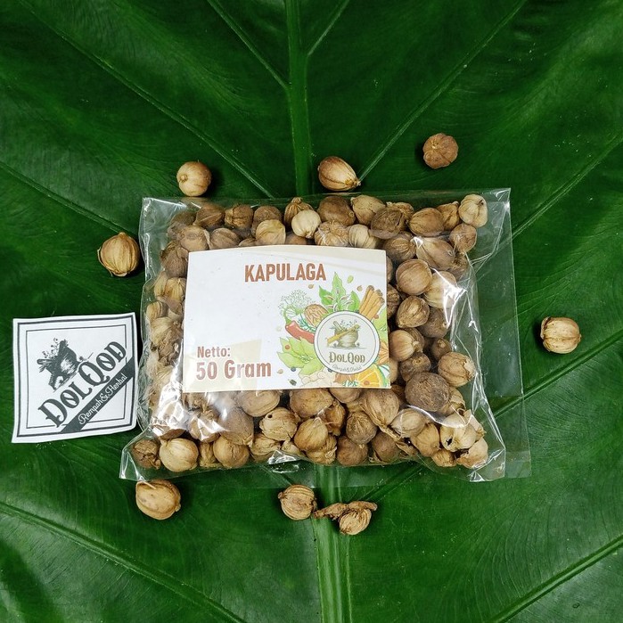 Jual Kapulaga Kapolaga Kapol Jawa 50 Gram Termurah Shopee Indonesia 7313