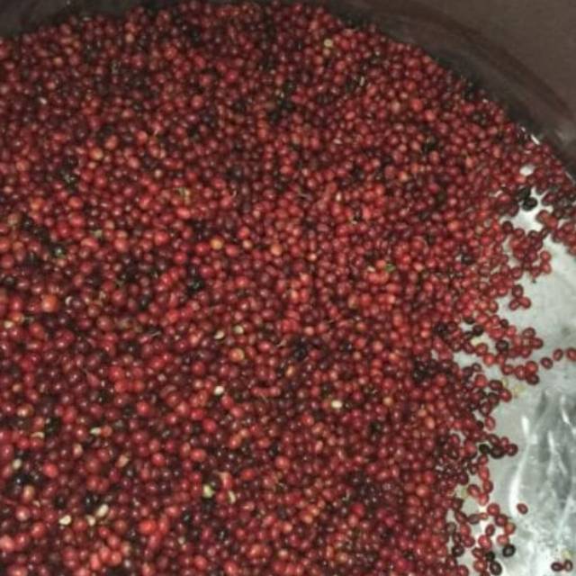 

Carbonic Maseration Arabica Wine Coffee 500 Gram Roasted Beans