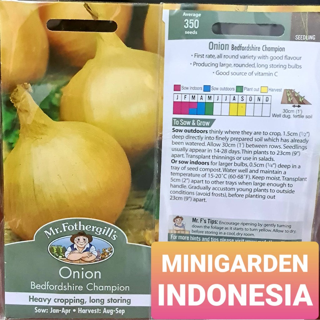 Benih Bawang ONION BEDFORDSHIRE CHAMPION PACK 350 BIJI bibit bawang bombai import F1 Mr. Fothergills tanaman obat herb