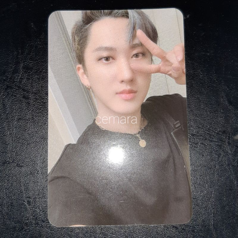 STRAY KIDS PC WF ENDING