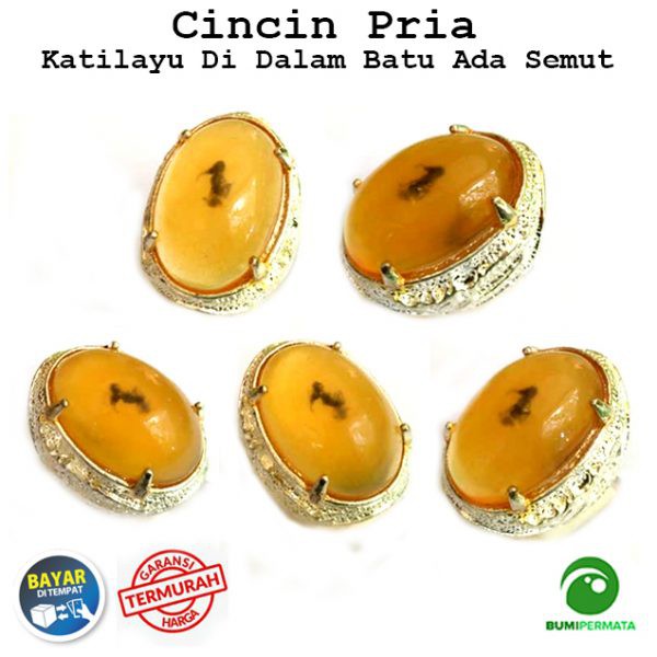 Harga Getah Katilayu Cincin Terbaru Desember 2021  BigGo Indonesia