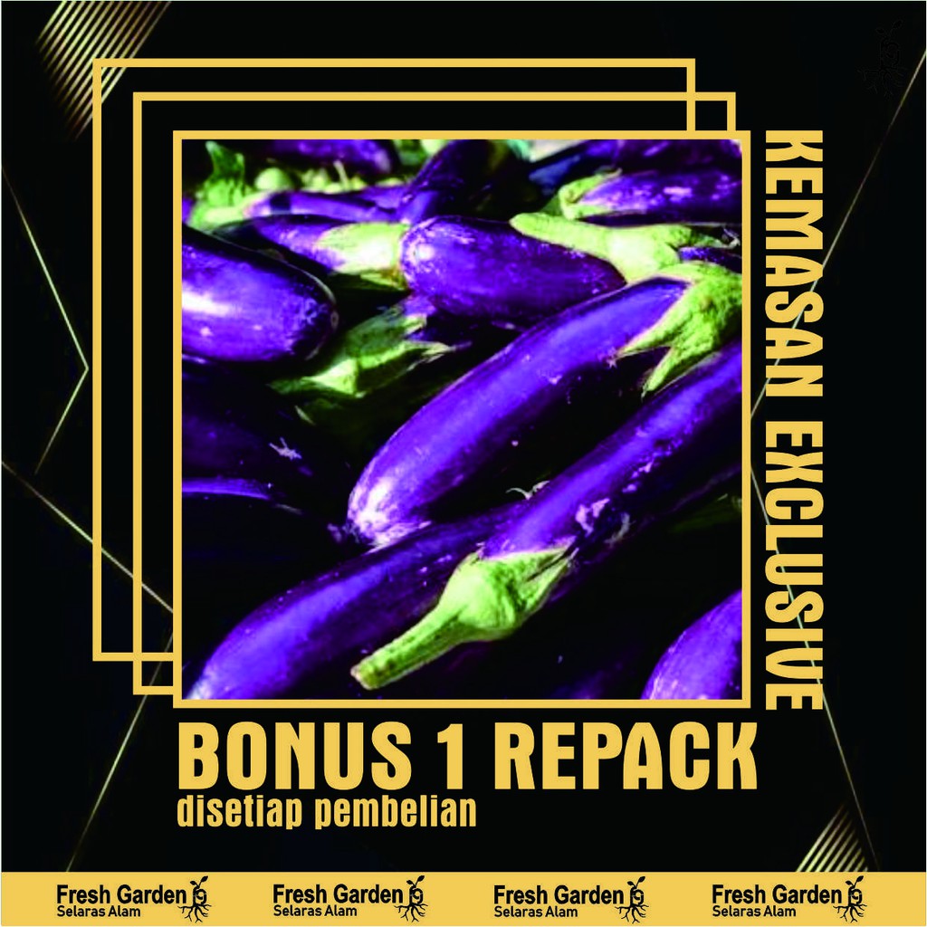 Benih Biji Terong Ungu Super Unggul 25 biji