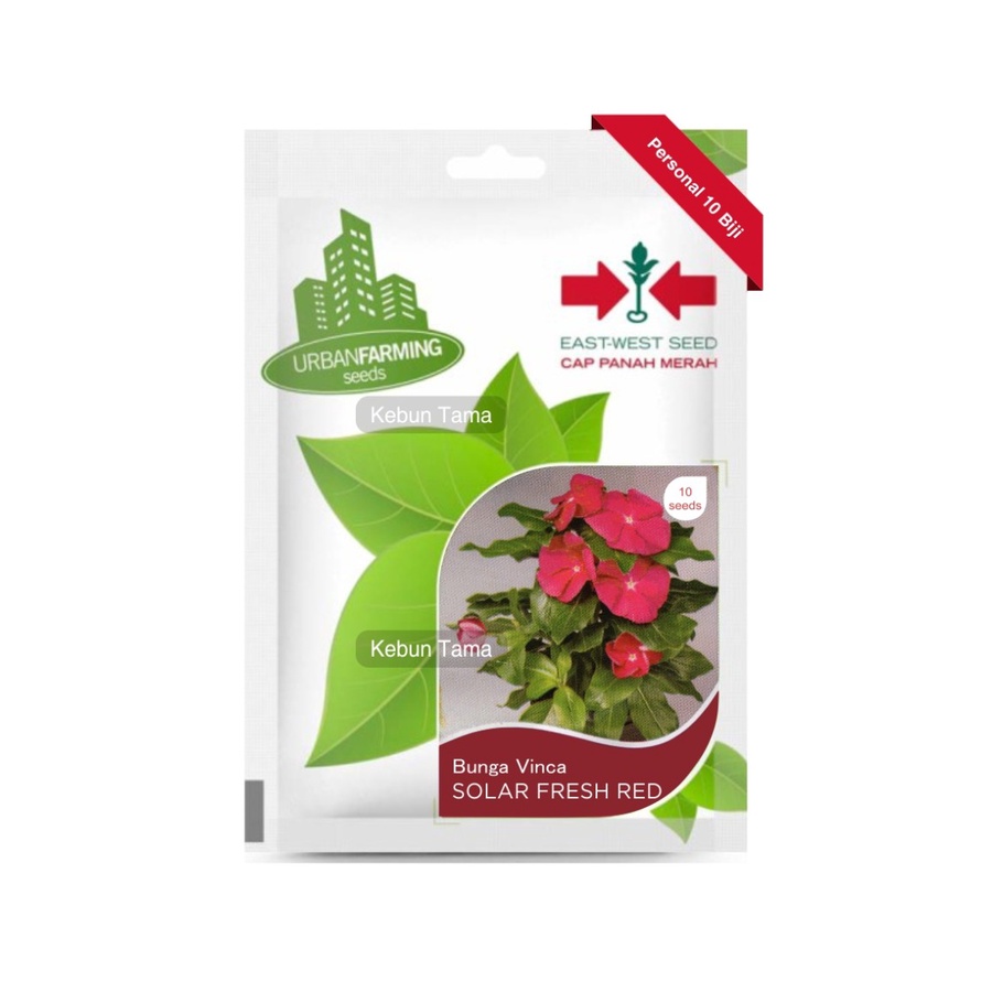 Benih Bunga Vinca Fresh Red Tapak Dara Cap Panah Merah Isi 10 Butir