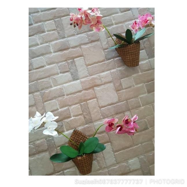 Pot dinding cantik pot sabut kelapa pot tempel pot anggrek Pot dinding cantik pot sabut kelapa pot tempel pot anggrek