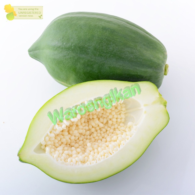 

Pepaya Muda / Sayur Segar