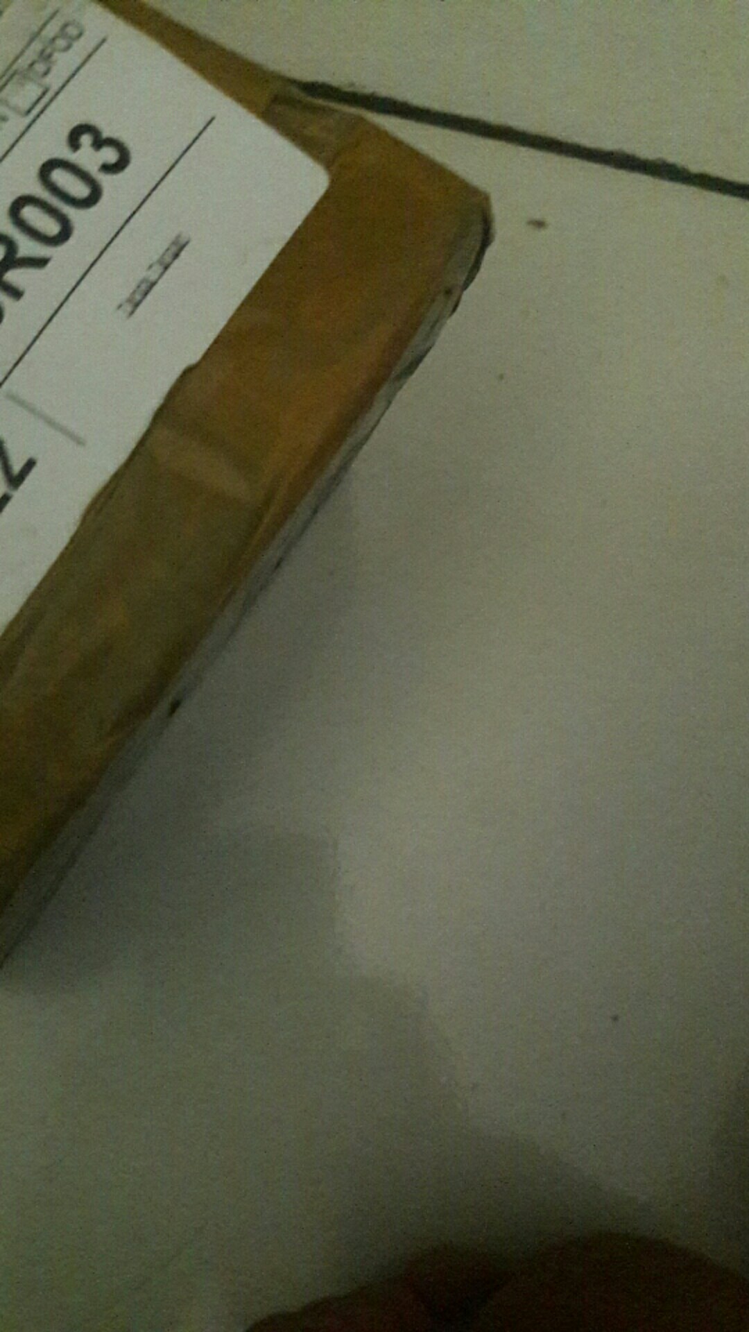 Insektisida Dangke 40wp 100gram