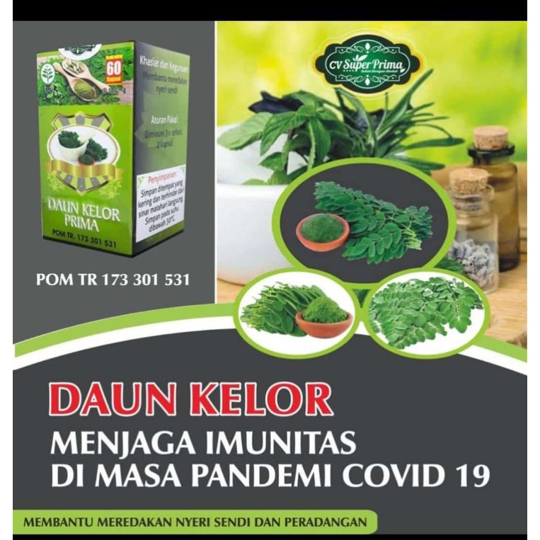 HERBAL DAUN KELOR MENURUNKAN GULA DARAH/MEREDAKAN RADANG/MENURUNKAN KOLESTROL/MENGOBATI NYERI SENDI