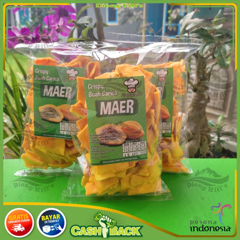 

KERIPIK BUAH CARICA / ANGGUR / NAGA / APEL OLEH OLEH WONOSOBO FREE BUBBLE WRAP