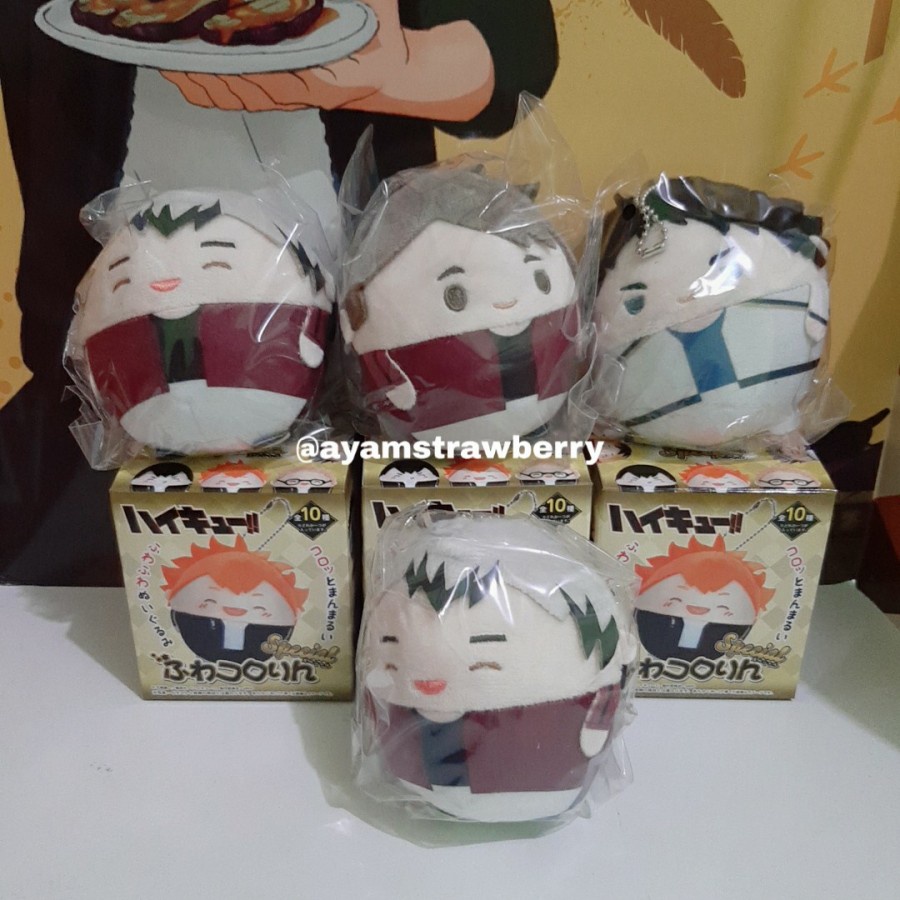 READY Boneka Haikyuu Fuwakororin Special Kita Osamu Akaashi
