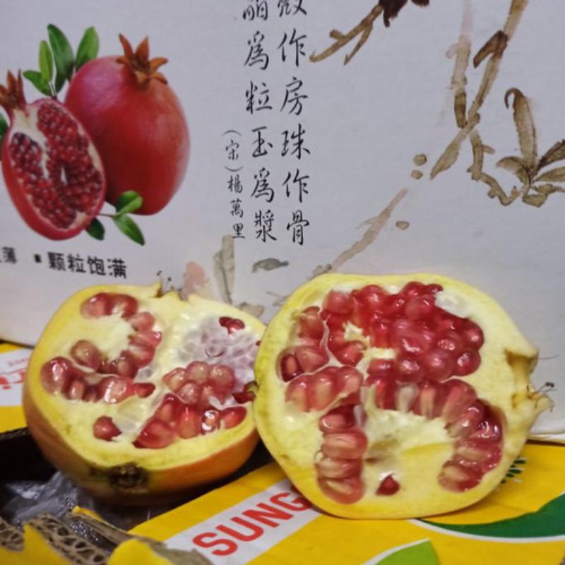 

Buah delima china manis fresh 1buah|buah segar bandung