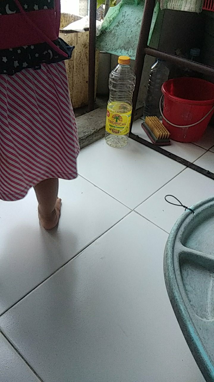 Rice Box / Food Pail Polos M L @1pcs