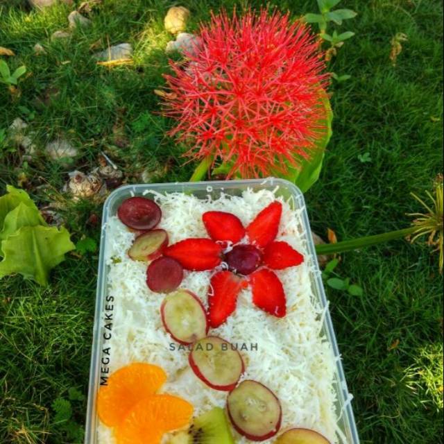 

Salat buah