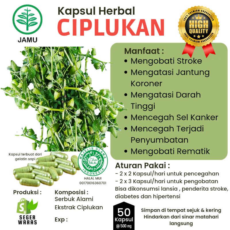CIPLUKAN 50 Kapsul Obat Stroke, Kesehatan Hati & Ginjal