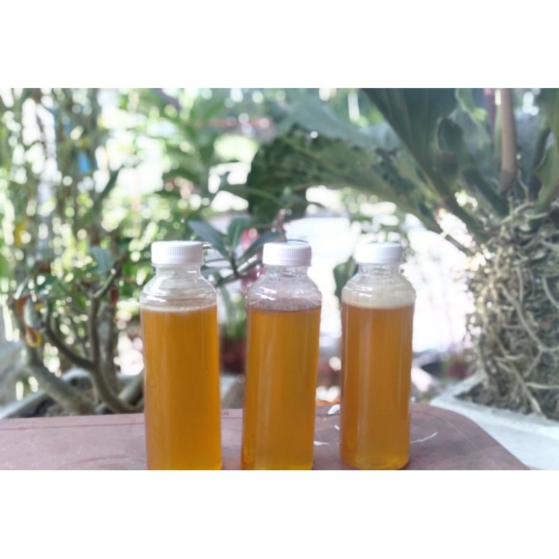 

Madu Hutan Asli/Toko Reski/Sumbar/tanpa campuran/250 ml/Rp.250.000