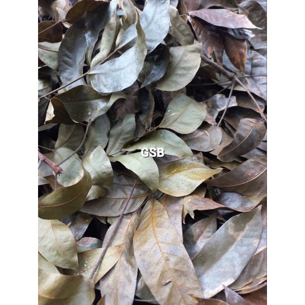 

Daun mahoni kering asli organik 250 gram