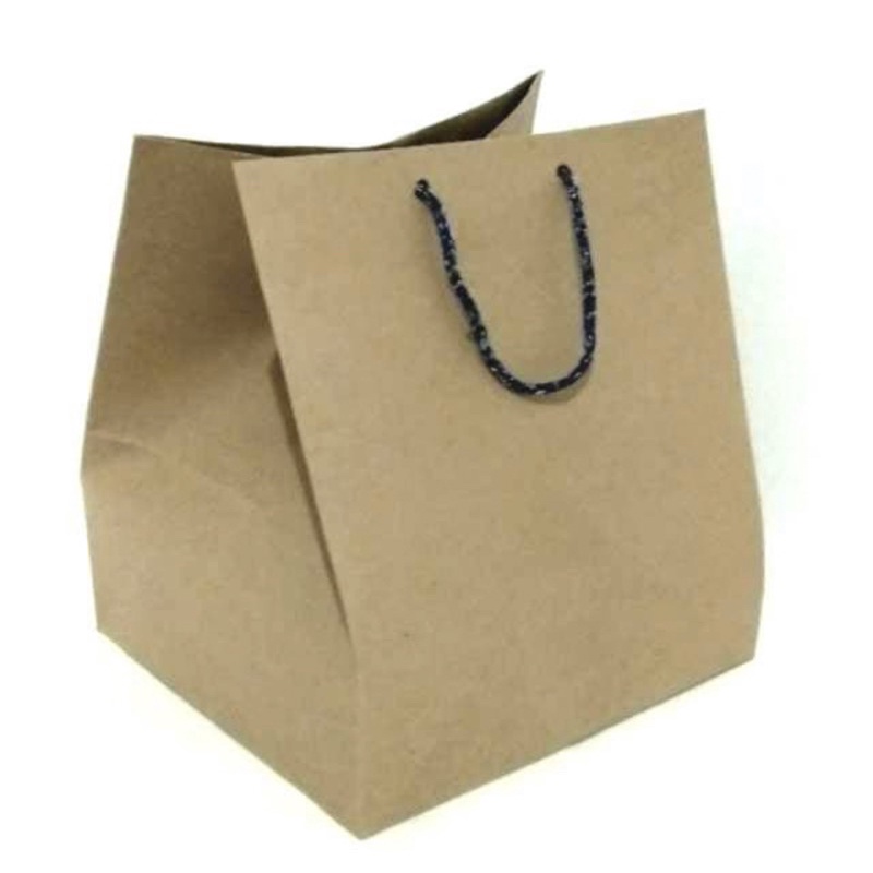 

goodie bag / paper bag