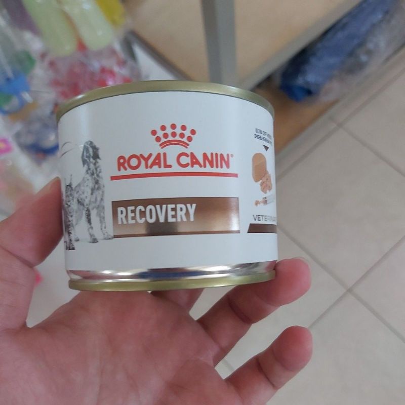 Royal Canin Recovery