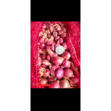 

bawang merah