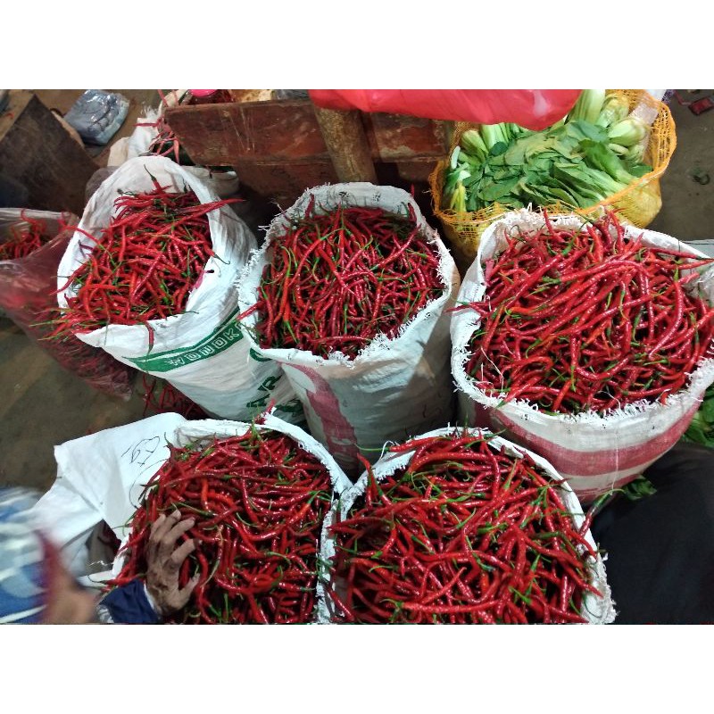 

Cabai merah keriting 250 gram