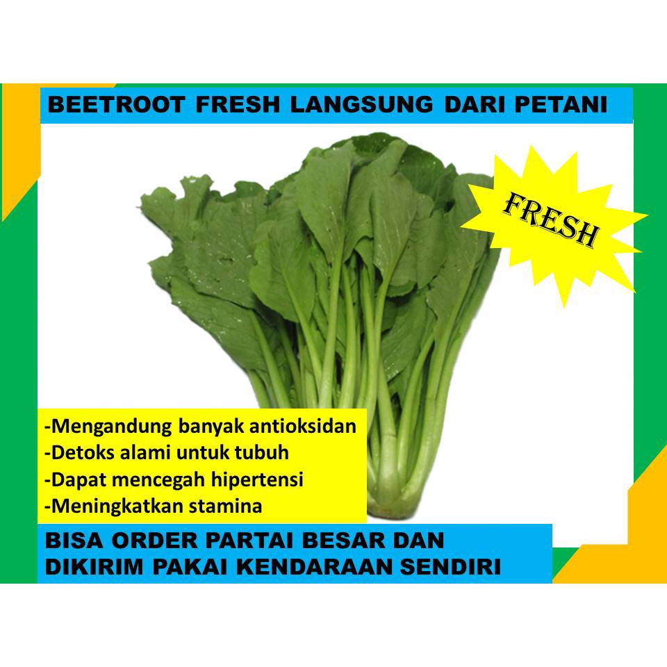 

Caisim Sawi Fresh Segar Langsung Dari Petani