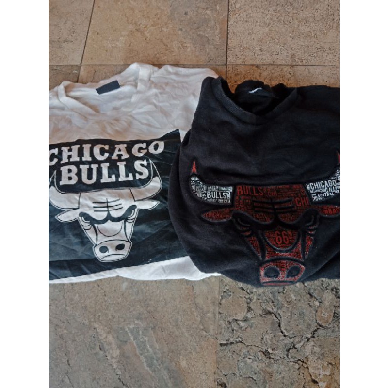 cn bulls