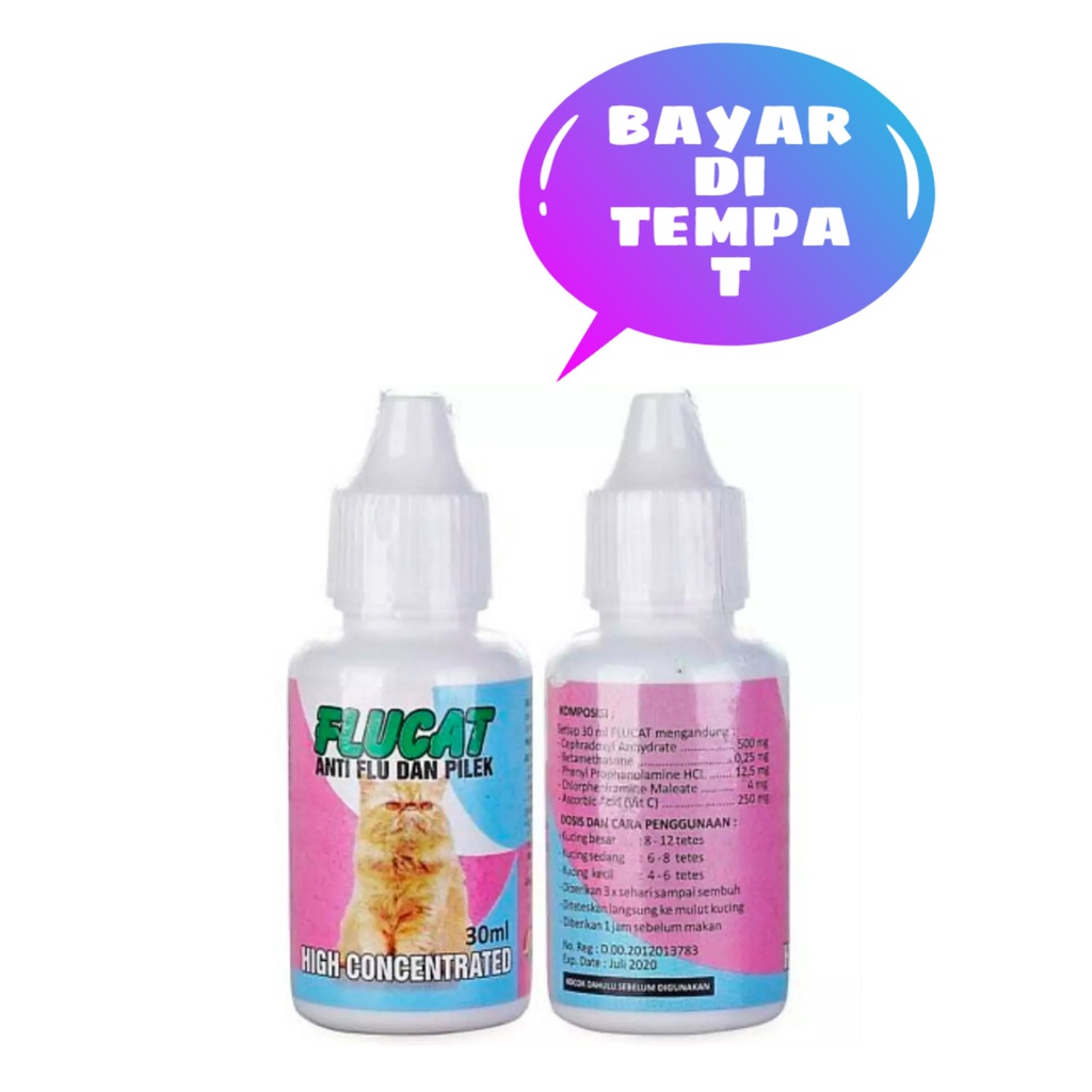 OBAT KUCING SAKIT FLU BERSIN FLUCAT