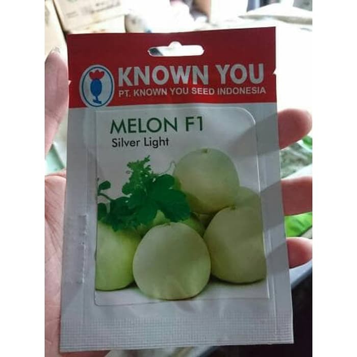 Benih Melon Apel Silver Light Known You Seed SP (10 Benih)