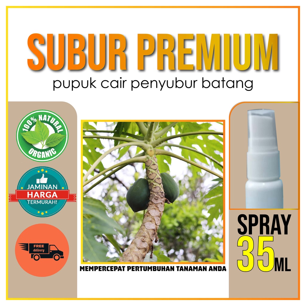 PUPUK PENYUBUR BATANG 35 ML SUBUR Cairan Obat Semprot Perangsang Vitamin Booster Batang Pohon Pepaya