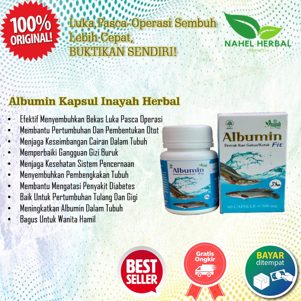 Kapsul Kutuk Albumin Minyak Ikan Gabus Original Ampuh Bpom - Obat Luka Bekas Operasi - Penghilang Be