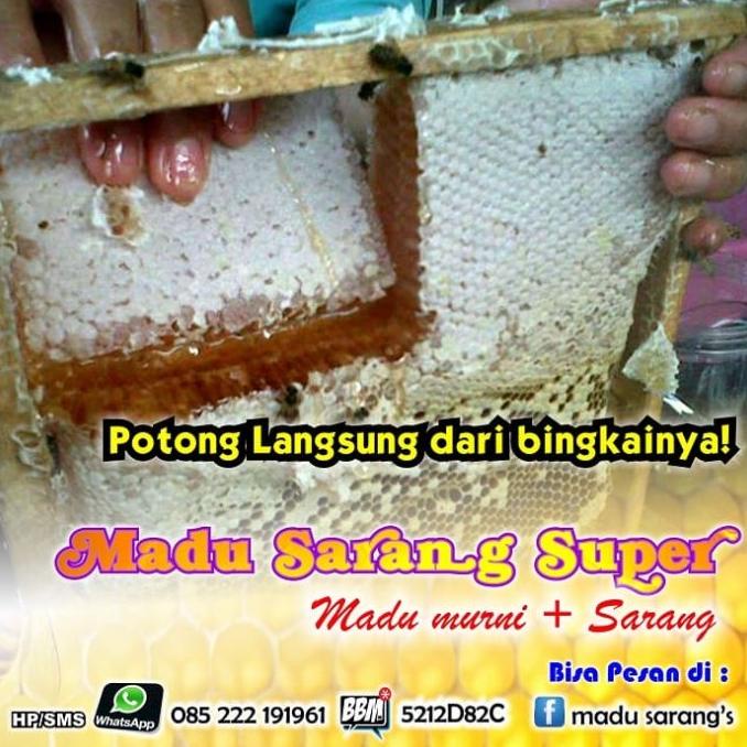 

PROMO MADU + SARANG Tulen MURAH