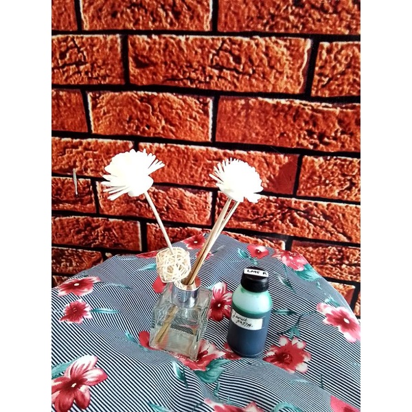 Biang Essen Lumut Pasta