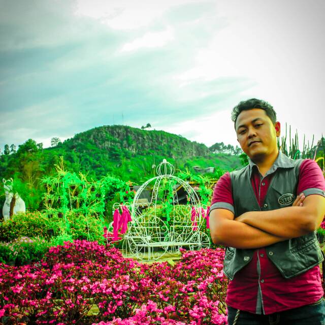 andridjuanda