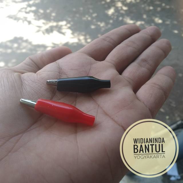 Satu pasang capit buaya kecil