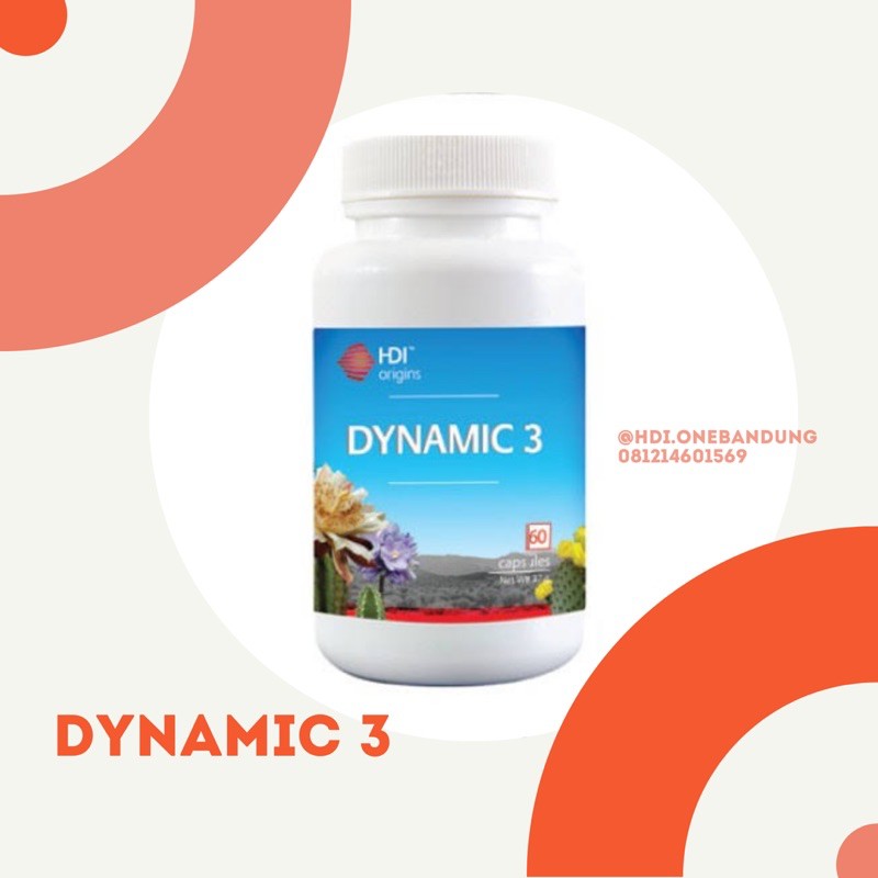 

DYNAMIC 3